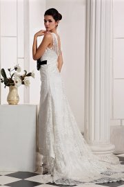 Graceful V-neck Lace Wedding Dress