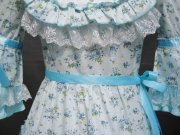 Adult Costume Floral Lolita Princess Dress
