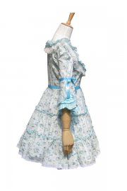 Adult Costume Floral Lolita Princess Dress