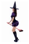 Halloween Costumes Stunning Purple Witch Costumet