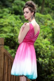 Knee Length Feminine V-neck Floral Bubble Dress