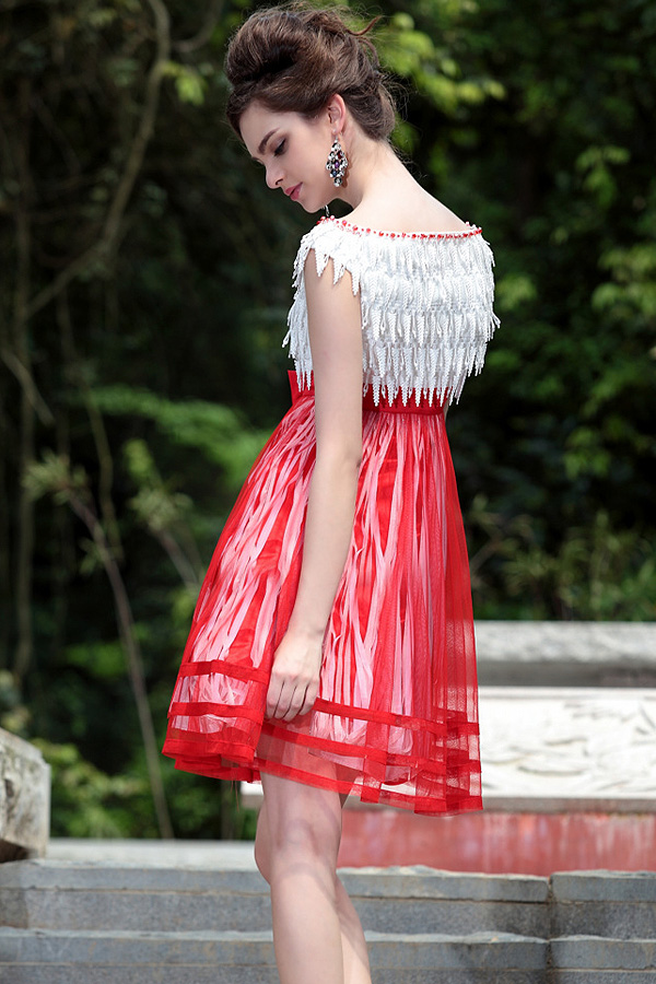 Chic Knee Length Fringed Dress - Click Image to Close