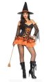 Halloween Costume Glamorous Tutu Bottom Sexy Evil Witch Costume