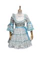Adult Costume Floral Lolita Princess Dress