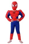 Anime Costume Spiderman Muscle Toddler Costume