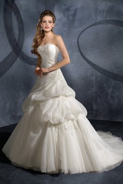 Court Train Floral Chiffon Ivory Wedding Gown